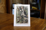 Woodpecker postcard