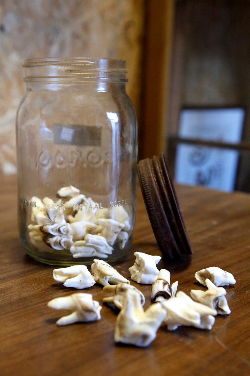 Mixed teeth, large