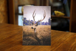 Axis Deer postcard