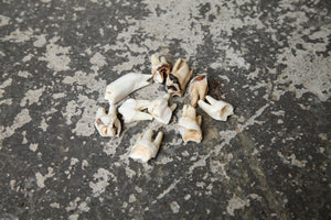 Mixed teeth, large